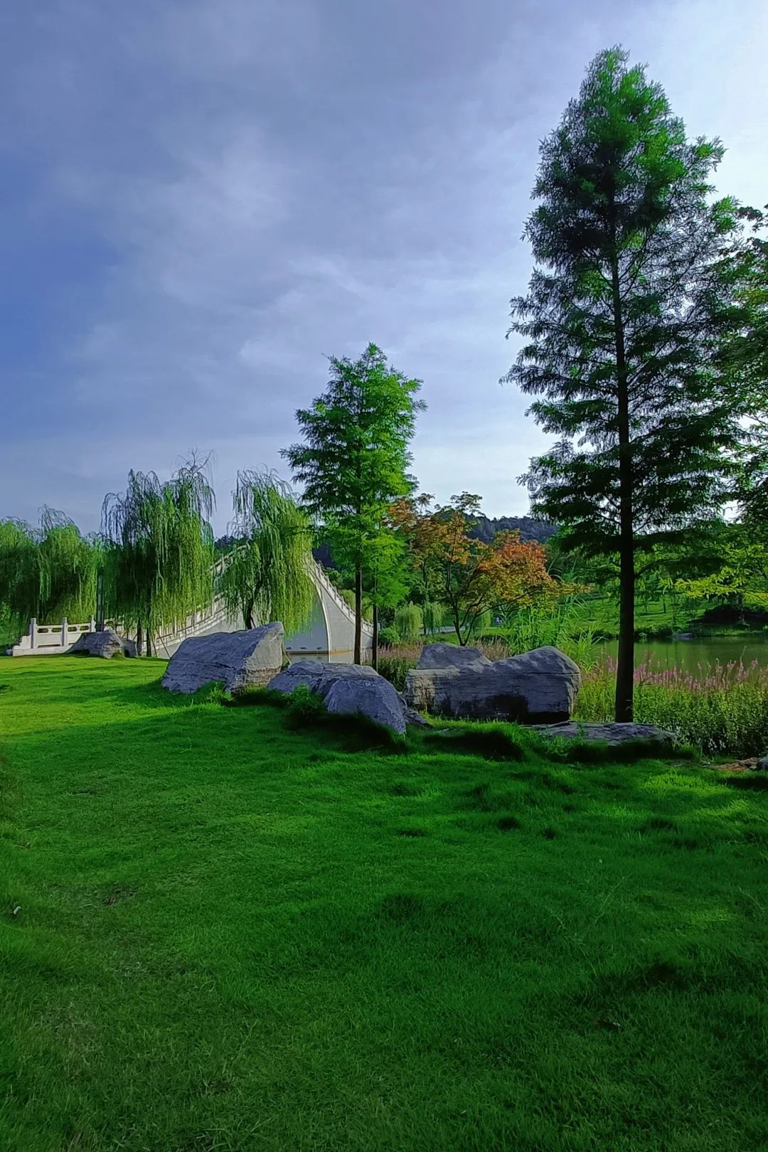 韶州公园获设计项目一等奖韶关市区有另一新公园要建